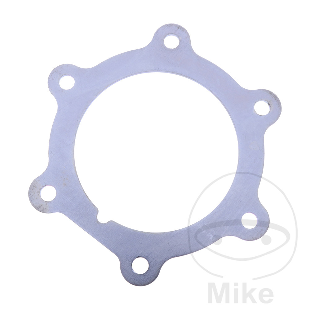 LOCKING PLATE  BENZINPUMPE (ORIGINAL) 