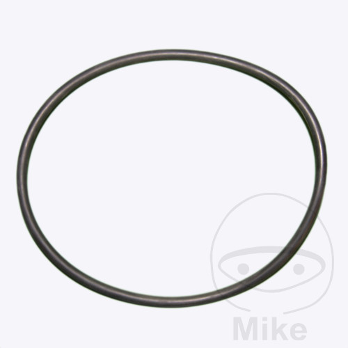 O-RING TTAP 172MM  980069