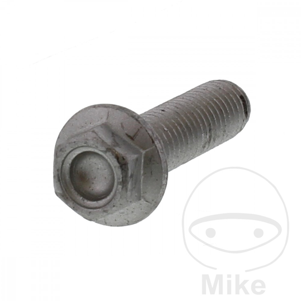 Bremseskive-bolt M8X1.25X30 mm