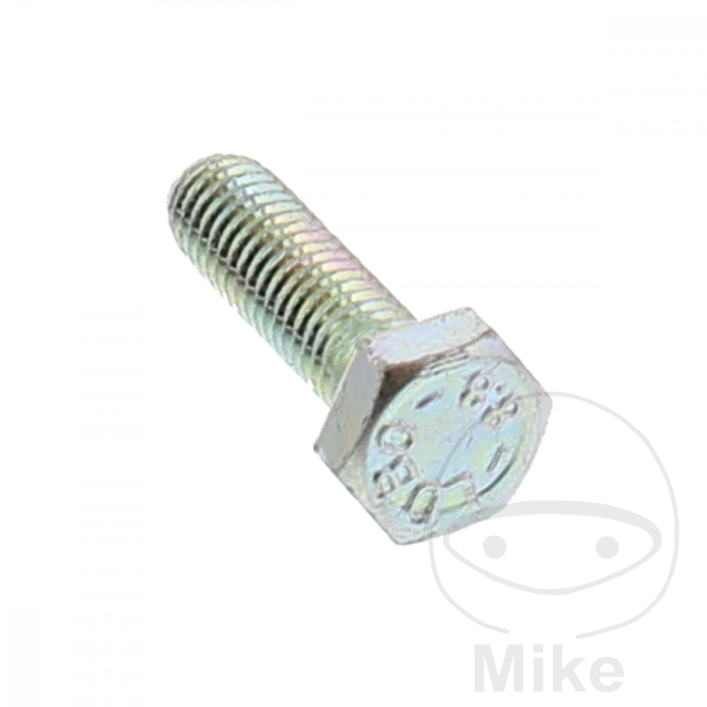 Bremseskive-bolt M6X1X22MM