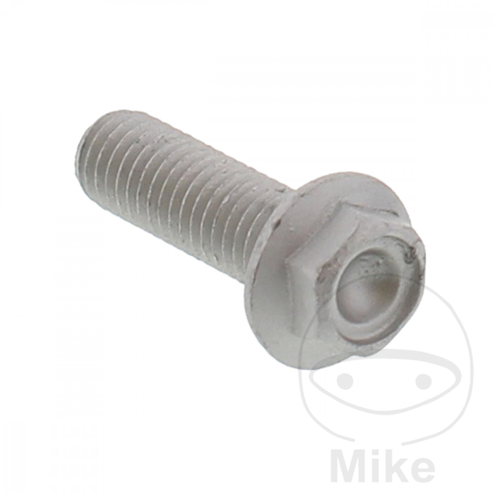 Bremseskive-bolt  OEM8X1.25X25MM